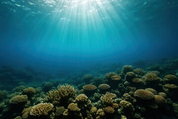 Sunlight Pierces Through a Coral Reef in the Deep Blue Ocean