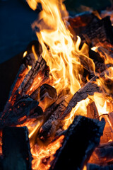 Flame wood in bonfire. Camp barbecue wood charcoal burns in the grill. Blaze fire flame texture...