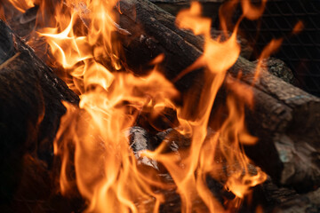 Flame wood in bonfire. Camp barbecue wood charcoal burns in the grill. Blaze fire flame texture...