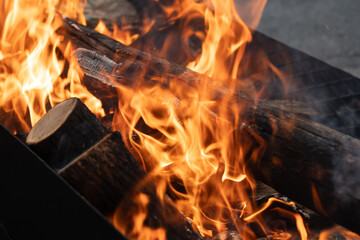 Flame wood in bonfire. Camp barbecue wood charcoal burns in the grill. Blaze fire flame texture...