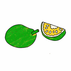 vector illustration of a fresh jackfruit