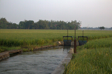 High-quality photo of an irrigation canal with water gates in rice fields. Perfect for agriculture,...
