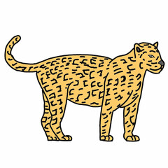 leopard vector illustration