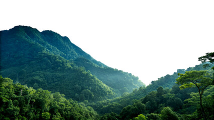 Obraz premium Majestic Green Mountain Landscape Radiating Peaceful Natural Beauty and Calm