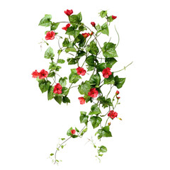 Fototapeta premium Vibrant red flowers entwined with lush green leaves create a striking natural display indoors