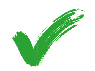 Green Check Mark Symbol on Black Background A Brushstroke of Approval and Acceptance