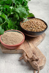 a bunch of fresh cilantro, coriander seeds and powder bowls, close-up, top view, no people, food and drinks,