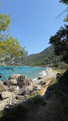 beach view from a path