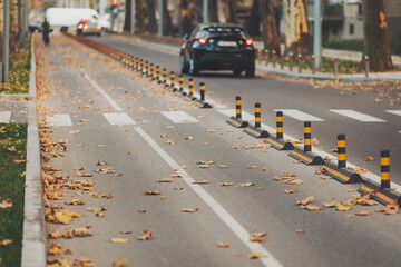 Leaves scatter across a city street during autumn as traffic moves steadily along the bike lane marked by vibrant bollards