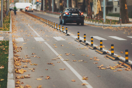Leaves scatter across a city street during autumn as traffic moves steadily along the bike lane marked by vibrant bollards