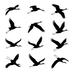 Obraz premium Collection of silhouettes of cranes in flight