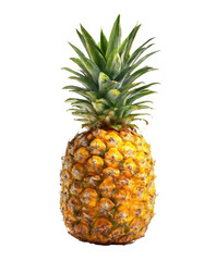 pineapple isolated on white