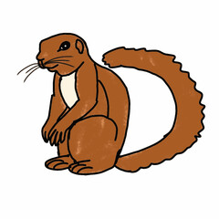 vector illustration of cartoon squirrel