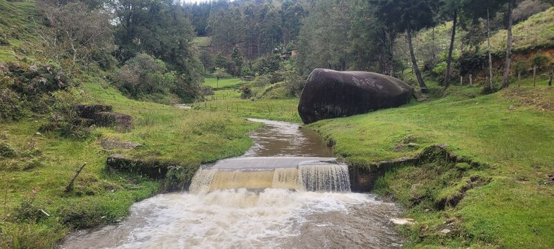 Belleza natural en el arrollo 