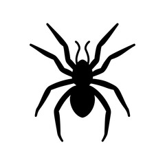 Obraz premium Spider web silhouette vector, black creepy Halloween design, scary horror and insect element for spooky decorations and illustrations