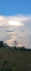 Naturaleza: gris en el cielo