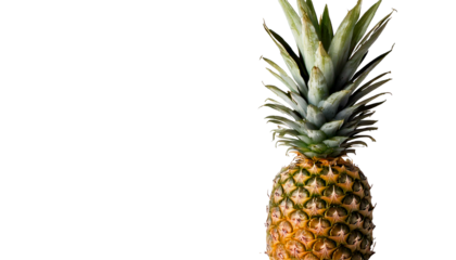 Pineapple on transparent PNG format, realistic style with vivid colors, high resolution quality, isolated clean edges, natural detailed texture, fresh juicy appearance, no background, perfect for digi