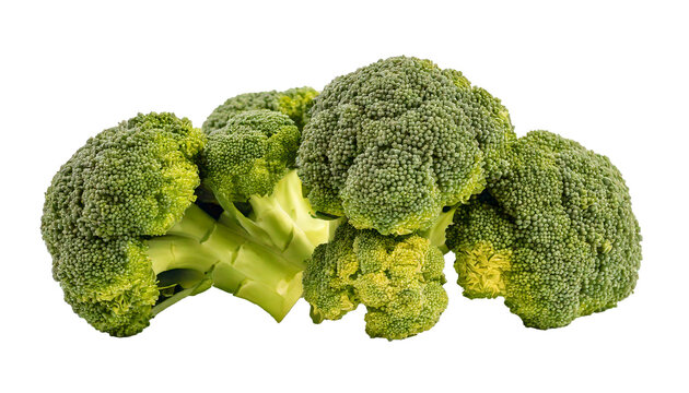 Broccoli, vegetable, green, fresh, crisp, nutritious, healthy, natural, organic, isolated, high-resolution, realistic, vivid, detailed, edible, raw, clean, textured, wholesome, diet, vitamin-rich, nat