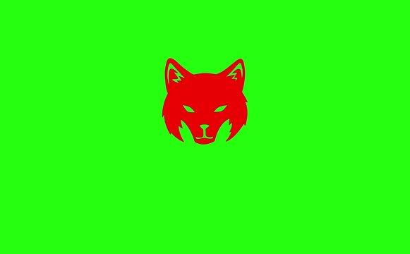 red fox on green background