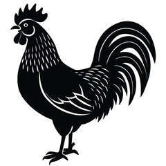 Rooster and hen silhouette collection, farm animal illustration, poultry vector artwork, black and white graphic, rural livestock design, chicken drawing © ABIR