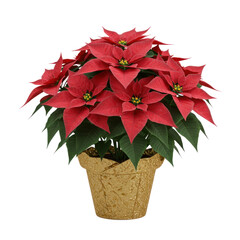 Vibrant red poinsettia plant in a gold pot, showcasing its detailed foliage and festive color scheme.