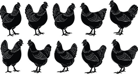 PrintSilhouette vector illustration of ten chickens in various standing poses, showcasing poultry posture, farm animal design, and agricultural concept art