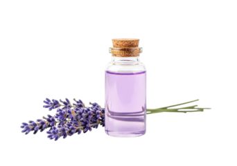 Lavender oil in a glass bottle with cork isolated on transparent background