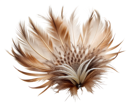 Natural feather hair accessory, bohemian style, isolated on transparent background
