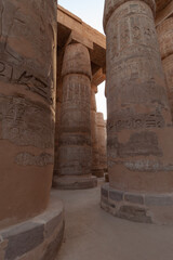 Egyptian shrines and hieroglyphs