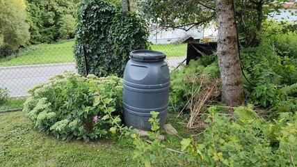 Black rain barrel placed among greenery in residential garden  
