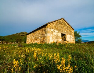 Old stone farmhouse in a field of wildflowers