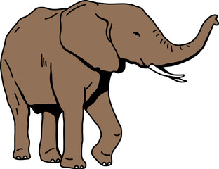 elephant cartoon hand drawn drawing