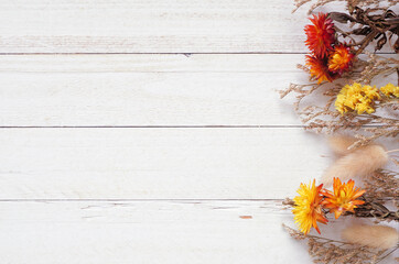Autumn side border of dried flowers and grasses. Above view over a white wood background. Copy...