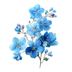 Bright blue floral arrangement featuring delicate petals and buds captured in a detailed illustration