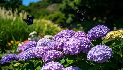 Purple hydrangeas and butterflies