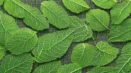 A cluster of green leaves on a wire mesh background, with a white netting pattern.