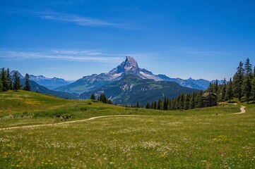 Fototapeta premium A scenic hiking path through a green alpine meadow with the Matterhorn in the background.