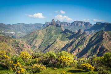 Panorama with Roque Bentayga and Roque Nublo in the background, Gran Canaria, Canary Islands, Spain