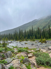 Bebel Creek in Consolation Lakes valley, Banff NP, Canada © Sérgio Nogueira