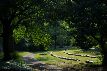 Path Winding Through a Cemetery