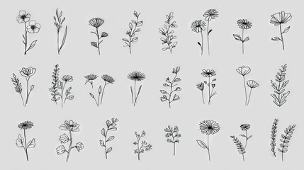 Obraz premium Collection of outline botanical illustrations.