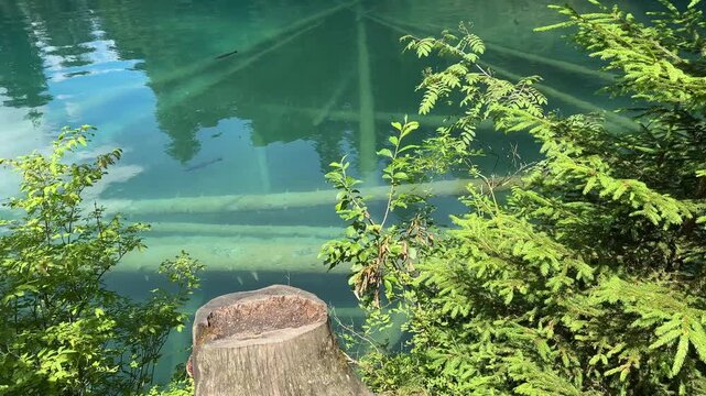Crystal-clear Blausee lake in Switzerland, where the water is so transparent you can see fish swimming below. Pristine alpine nature, peaceful atmosphere, and stunning natural beauty. Kandergrund 