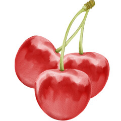 Watercolor Painting of Three Cherries