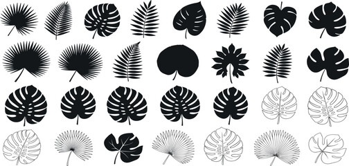 A diverse collection of tropical leaves in silhouette and line art styles. Set of isolated jungle plant icons like monstera and palm fronds for design.
