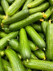 Fresh cucumbers in a pile showcasing vibrant green skin and natural texture