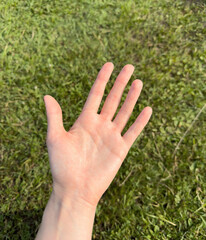 Hand reaches upward in nature. Open palm with outstretched fingers shows human gesture against sunny