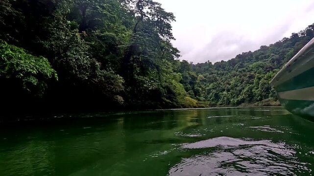 Relaxing background moving over a calm tropical river  alongside a canoe, water and tropical forest are the backbones of our lives - travelling background