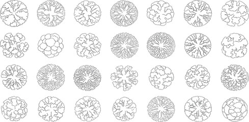 A diverse collection of tree top view symbols in black and white line art, ideal for architectural plans and landscape design projects.