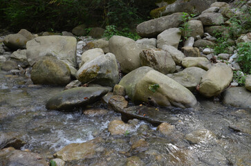 пейзажи горной реки