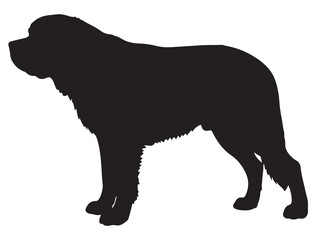 ST. BERNARD DOG SILHOUETTE